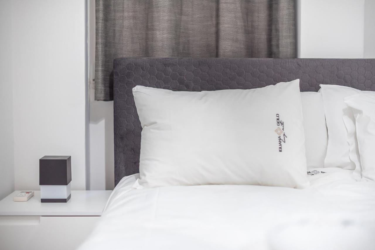 Iguana Gold Luxury Suites 2 雅典 外观 照片